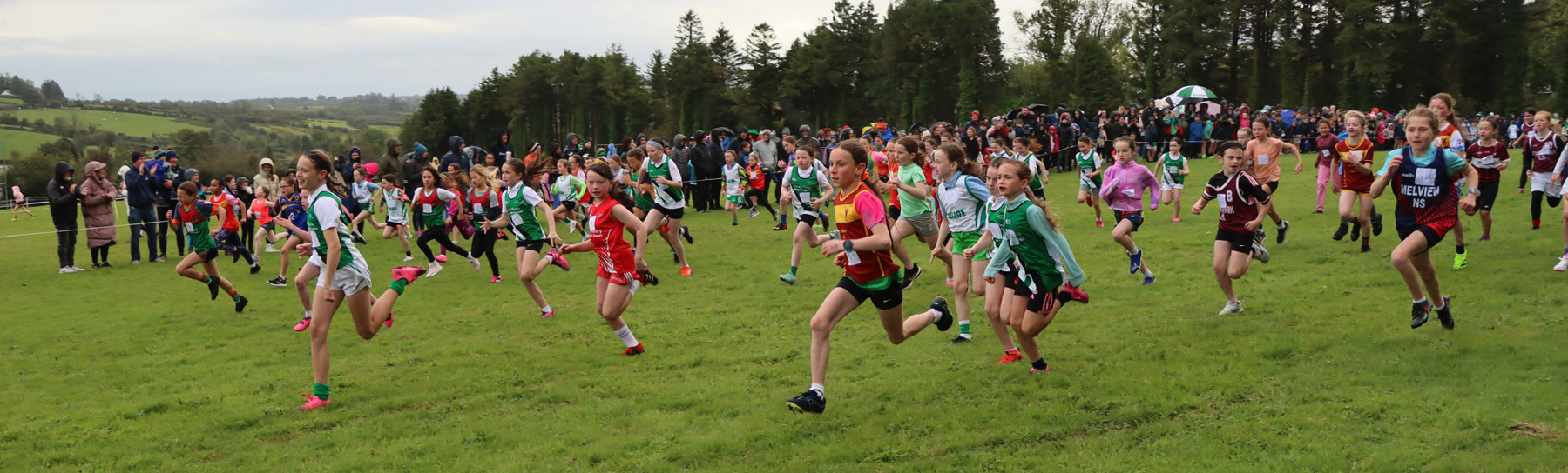 2024 Co. Longford Primary Schools Cross Country